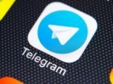 Telegram       WhatsApp   