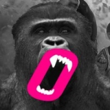       Gorilla